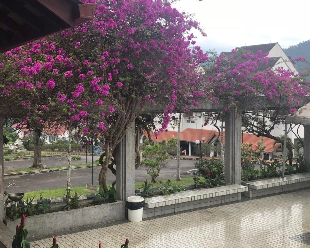 Thatniceplace, Selesa Hillhomes, Bukit Tinggi, Janda Baik, Genting Бентонг Екстериор снимка